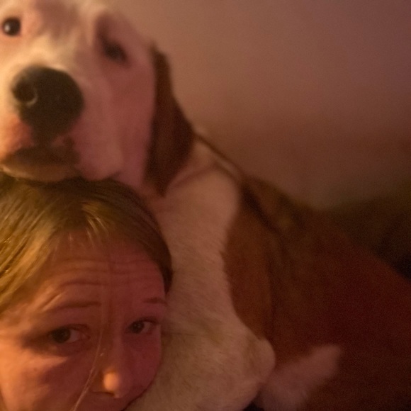 Meet your Posher, Amanda - Picture 8 of 16